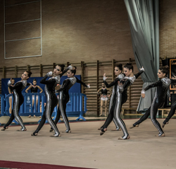 Técnico de Gimnasia Estética de Grupo