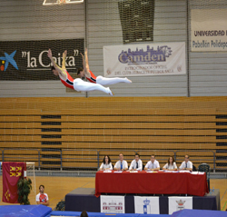 Juez Nivel II y Actualización de Gimnasia Trampolín
