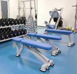 Dinamización e Interacción en Sala Fitness