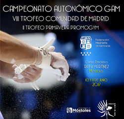 CAMPEONATO AUTONÓMICO DE GIMNASIA ARTÍSTICA MASCULINA