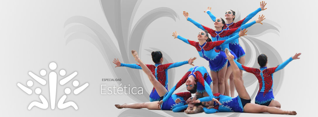 Estetica Fmg Federacion Madrilena De Gimnasia