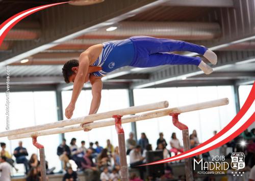 Autonómico. IX Trofeo Comunidad de Madrid. Gimnasia Artística Masculina