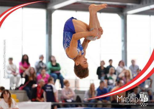 Autonómico. IX Trofeo Comunidad de Madrid. Gimnasia Artística Masculina