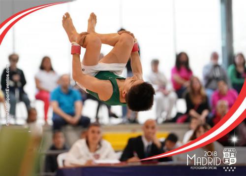 Autonómico. IX Trofeo Comunidad de Madrid. Gimnasia Artística Masculina