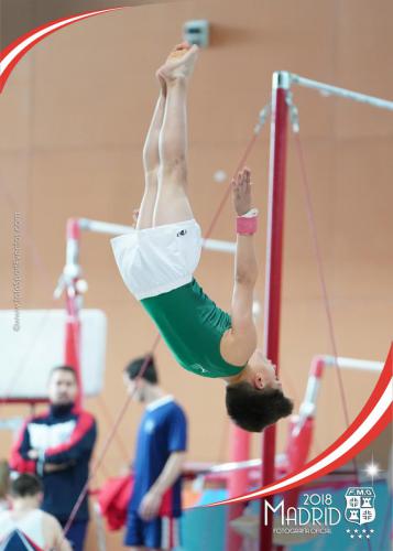 Autonómico. IX Trofeo Comunidad de Madrid. Gimnasia Artística Masculina