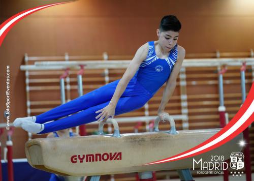 Autonómico. IX Trofeo Comunidad de Madrid. Gimnasia Artística Masculina