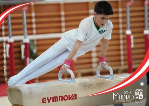 Autonómico. IX Trofeo Comunidad de Madrid. Gimnasia Artística Masculina