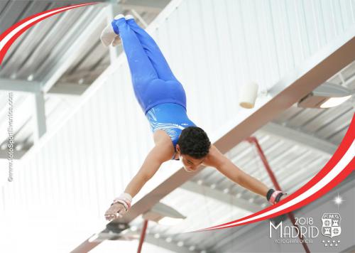 Autonómico. IX Trofeo Comunidad de Madrid. Gimnasia Artística Masculina