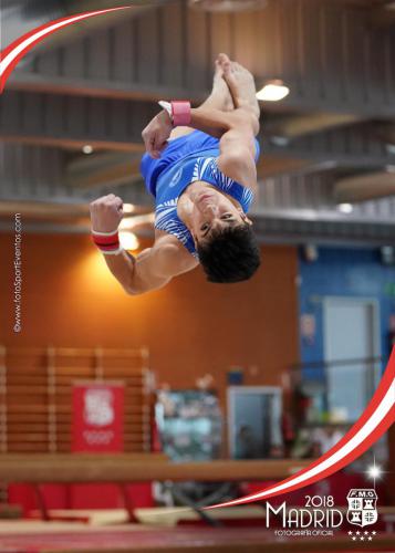 Autonómico. IX Trofeo Comunidad de Madrid. Gimnasia Artística Masculina