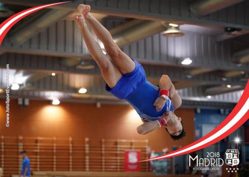 Autonómico. IX Trofeo Comunidad de Madrid. Gimnasia Artística Masculina