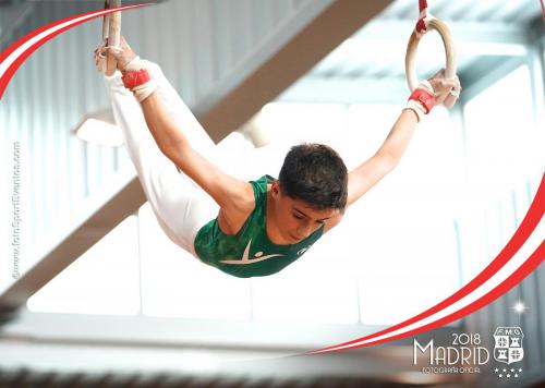 Autonómico. IX Trofeo Comunidad de Madrid. Gimnasia Artística Masculina