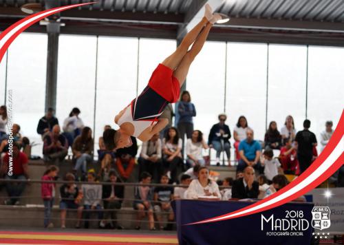 Autonómico. IX Trofeo Comunidad de Madrid. Gimnasia Artística Masculina