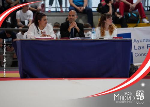 Autonómico. IX Trofeo Comunidad de Madrid. Gimnasia Artística Masculina