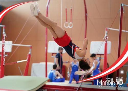 Autonómico. IX Trofeo Comunidad de Madrid. Gimnasia Artística Masculina