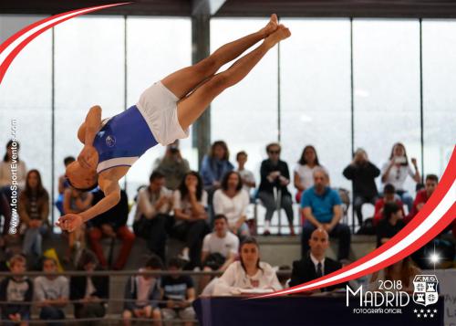 Autonómico. IX Trofeo Comunidad de Madrid. Gimnasia Artística Masculina