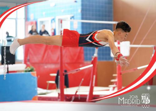 Autonómico. IX Trofeo Comunidad de Madrid. Gimnasia Artística Masculina