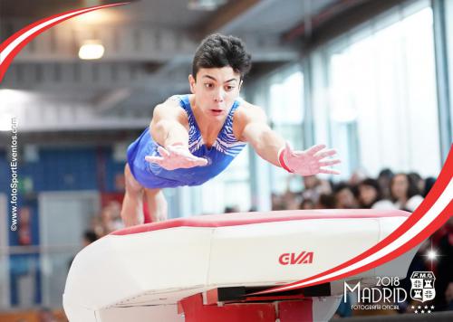 Autonómico. IX Trofeo Comunidad de Madrid. Gimnasia Artística Masculina