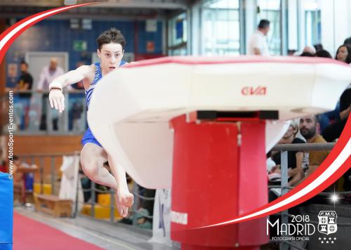 Autonómico. IX Trofeo Comunidad de Madrid. Gimnasia Artística Masculina