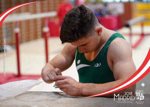 Autonómico. IX Trofeo Comunidad de Madrid. Gimnasia Artística Masculina