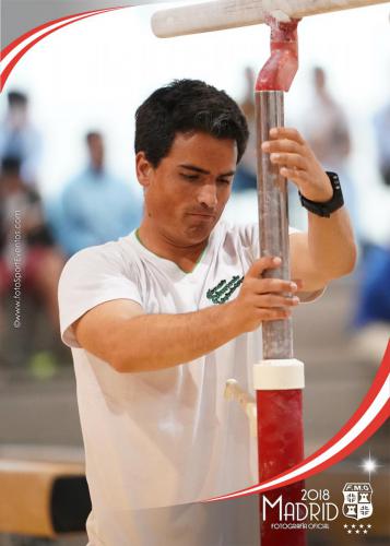 Autonómico. IX Trofeo Comunidad de Madrid. Gimnasia Artística Masculina