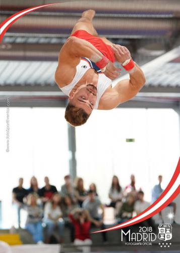 Autonómico. IX Trofeo Comunidad de Madrid. Gimnasia Artística Masculina