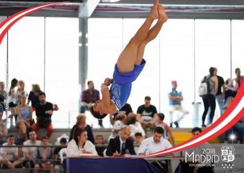 Autonómico. IX Trofeo Comunidad de Madrid. Gimnasia Artística Masculina