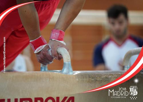 Autonómico. IX Trofeo Comunidad de Madrid. Gimnasia Artística Masculina