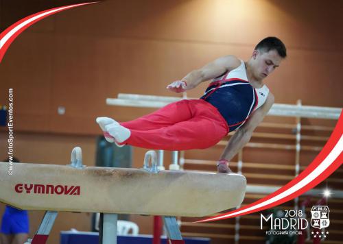 Autonómico. IX Trofeo Comunidad de Madrid. Gimnasia Artística Masculina