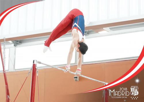 Autonómico. IX Trofeo Comunidad de Madrid. Gimnasia Artística Masculina