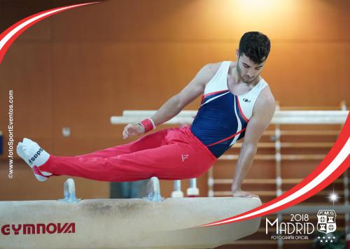 Autonómico. IX Trofeo Comunidad de Madrid. Gimnasia Artística Masculina