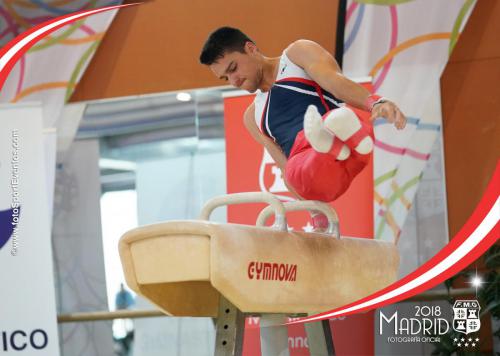 Autonómico. IX Trofeo Comunidad de Madrid. Gimnasia Artística Masculina