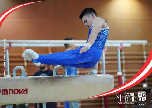 Autonómico. IX Trofeo Comunidad de Madrid. Gimnasia Artística Masculina