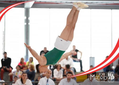 Autonómico. IX Trofeo Comunidad de Madrid. Gimnasia Artística Masculina