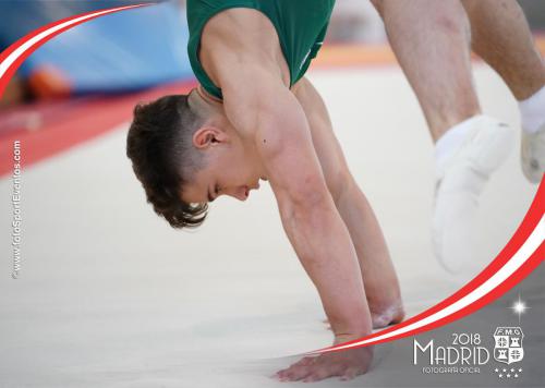 Autonómico. IX Trofeo Comunidad de Madrid. Gimnasia Artística Masculina