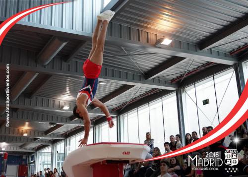 Autonómico. IX Trofeo Comunidad de Madrid. Gimnasia Artística Masculina