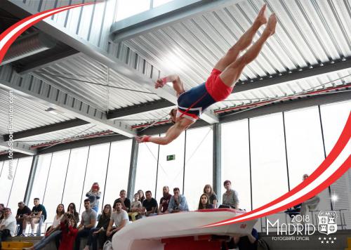 Autonómico. IX Trofeo Comunidad de Madrid. Gimnasia Artística Masculina