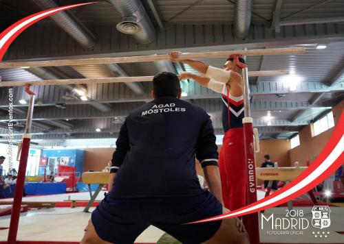 Autonómico. IX Trofeo Comunidad de Madrid. Gimnasia Artística Masculina