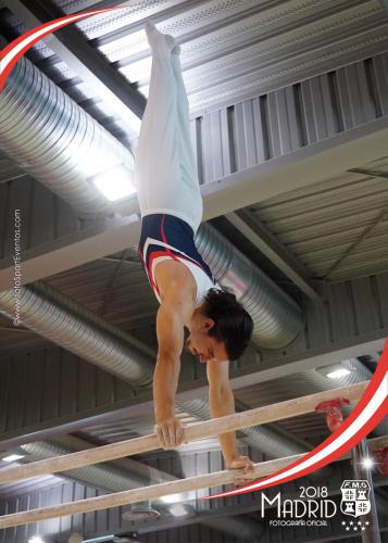 Autonómico. IX Trofeo Comunidad de Madrid. Gimnasia Artística Masculina