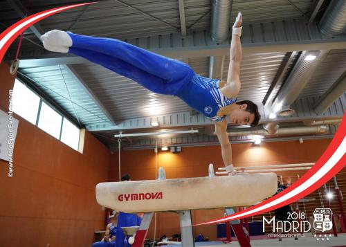 Autonómico. IX Trofeo Comunidad de Madrid. Gimnasia Artística Masculina