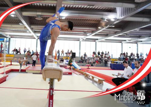 Autonómico. IX Trofeo Comunidad de Madrid. Gimnasia Artística Masculina