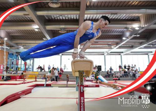 Autonómico. IX Trofeo Comunidad de Madrid. Gimnasia Artística Masculina