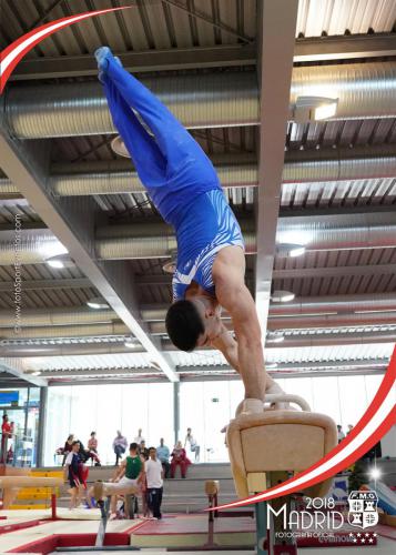 Autonómico. IX Trofeo Comunidad de Madrid. Gimnasia Artística Masculina