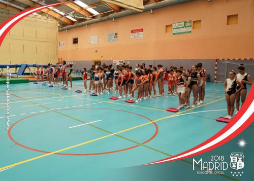 Autonómico. IX Trofeo Comunidad de Madrid. Gimnasia Trampolín