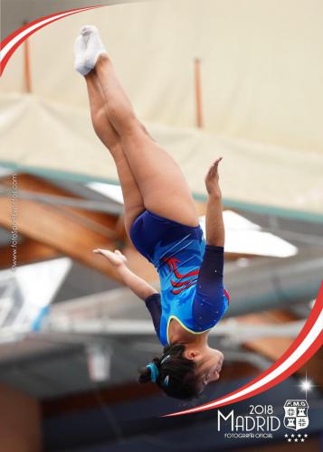 Autonómico. IX Trofeo Comunidad de Madrid. Gimnasia Trampolín