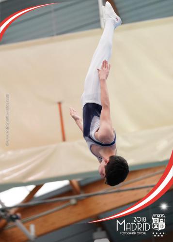 Autonómico. IX Trofeo Comunidad de Madrid. Gimnasia Trampolín