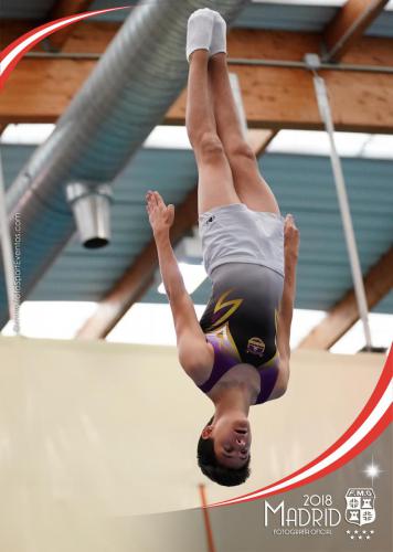 Autonómico. IX Trofeo Comunidad de Madrid. Gimnasia Trampolín