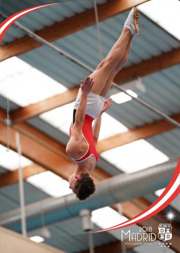 Autonómico. IX Trofeo Comunidad de Madrid. Gimnasia Trampolín