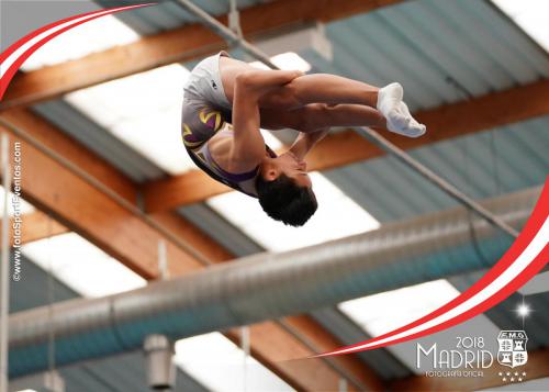 Autonómico. IX Trofeo Comunidad de Madrid. Gimnasia Trampolín