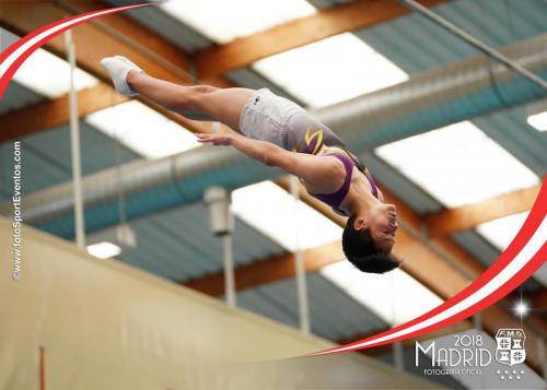 Autonómico. IX Trofeo Comunidad de Madrid. Gimnasia Trampolín