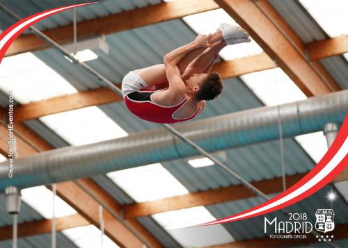 Autonómico. IX Trofeo Comunidad de Madrid. Gimnasia Trampolín